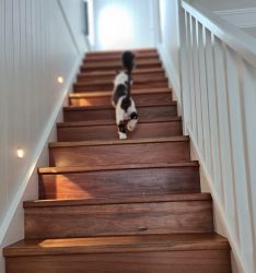 20221014_104827