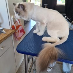 20230415_125258