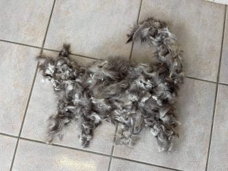 239698005_1389693424757643_5682104933440868323_n